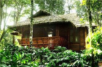 Treasuretrove Homestay, Wayanad 2